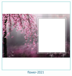 цветна рамка за снимки 2021