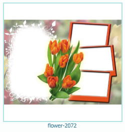 цветна рамка за снимки 2072